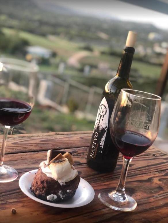 Suites Nativo - Beautiful Vineyard & Valley View 瓜达鲁佩镇 外观 照片