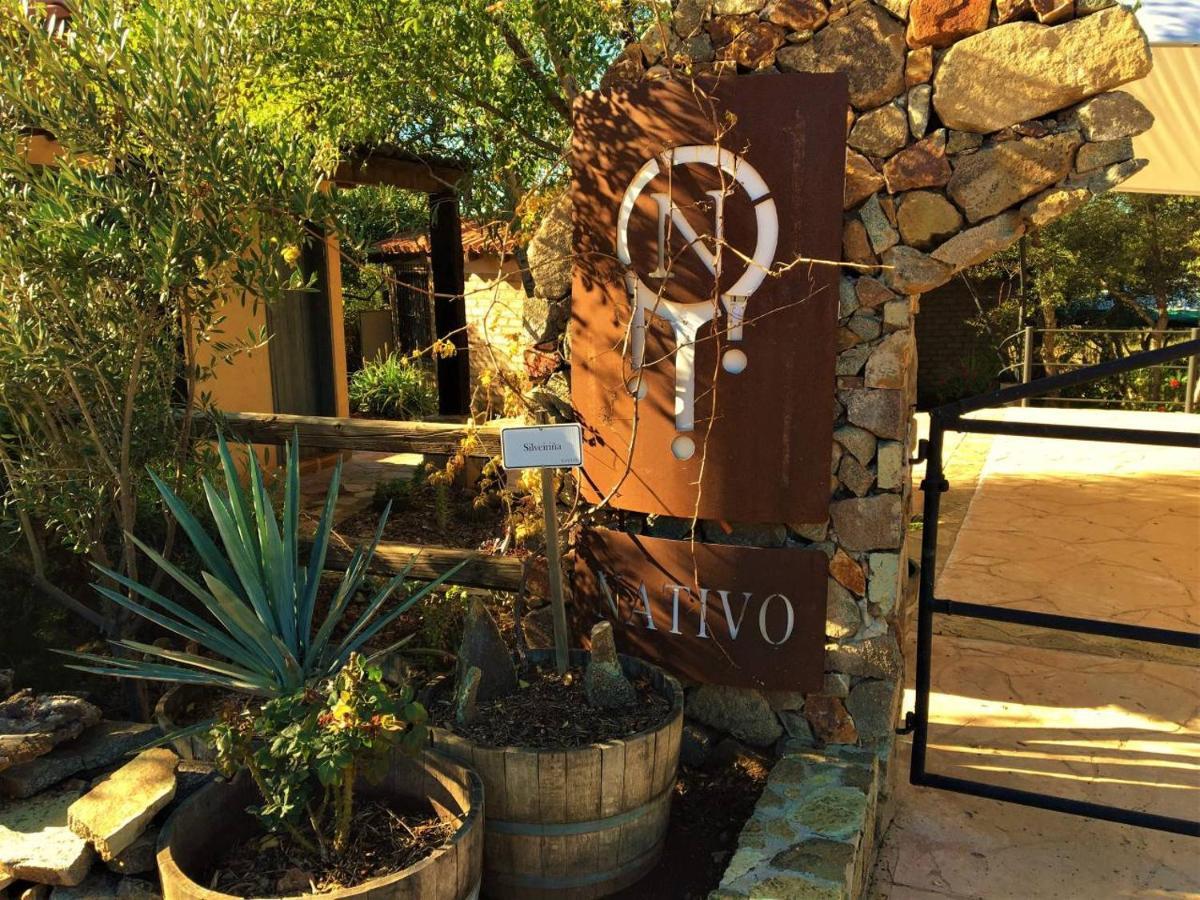 Suites Nativo - Beautiful Vineyard & Valley View 瓜达鲁佩镇 外观 照片